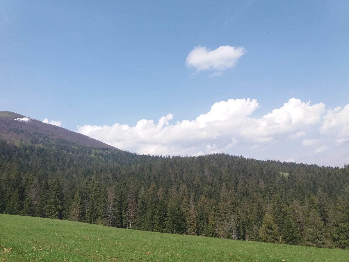 Верховинський Котедж Bukovets Zewnętrze zdjęcie