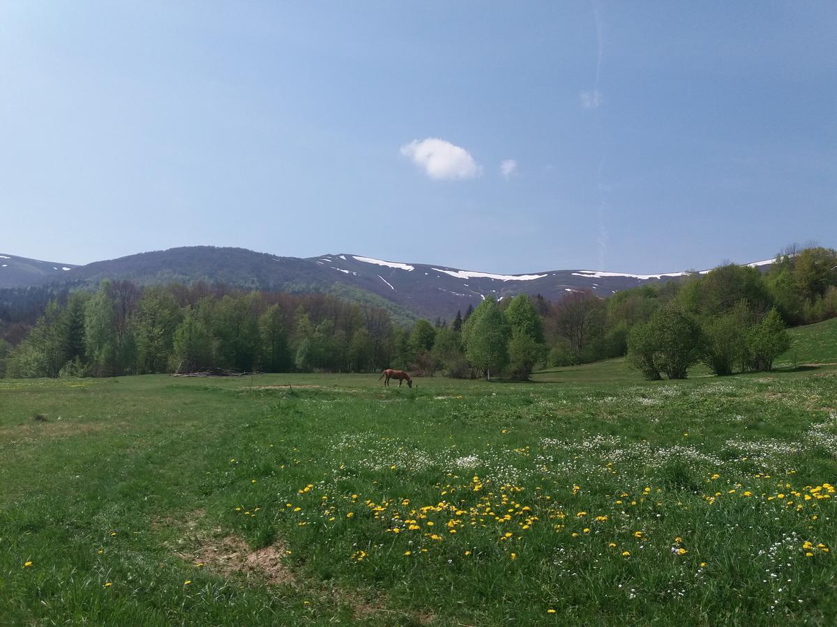 Верховинський Котедж Bukovets Zewnętrze zdjęcie